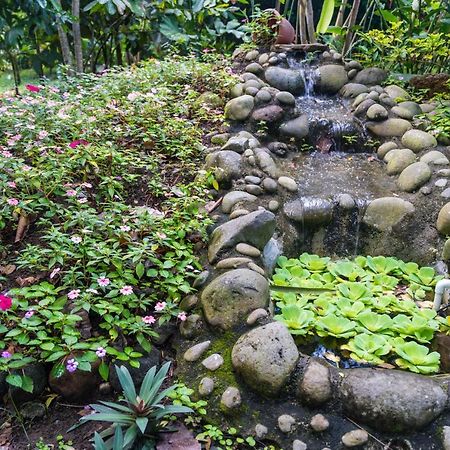 Hotel Vista Del Cerro La Fortuna Екстериор снимка