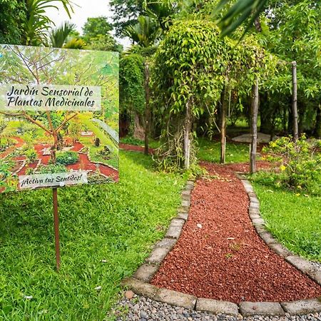 Hotel Vista Del Cerro La Fortuna Екстериор снимка