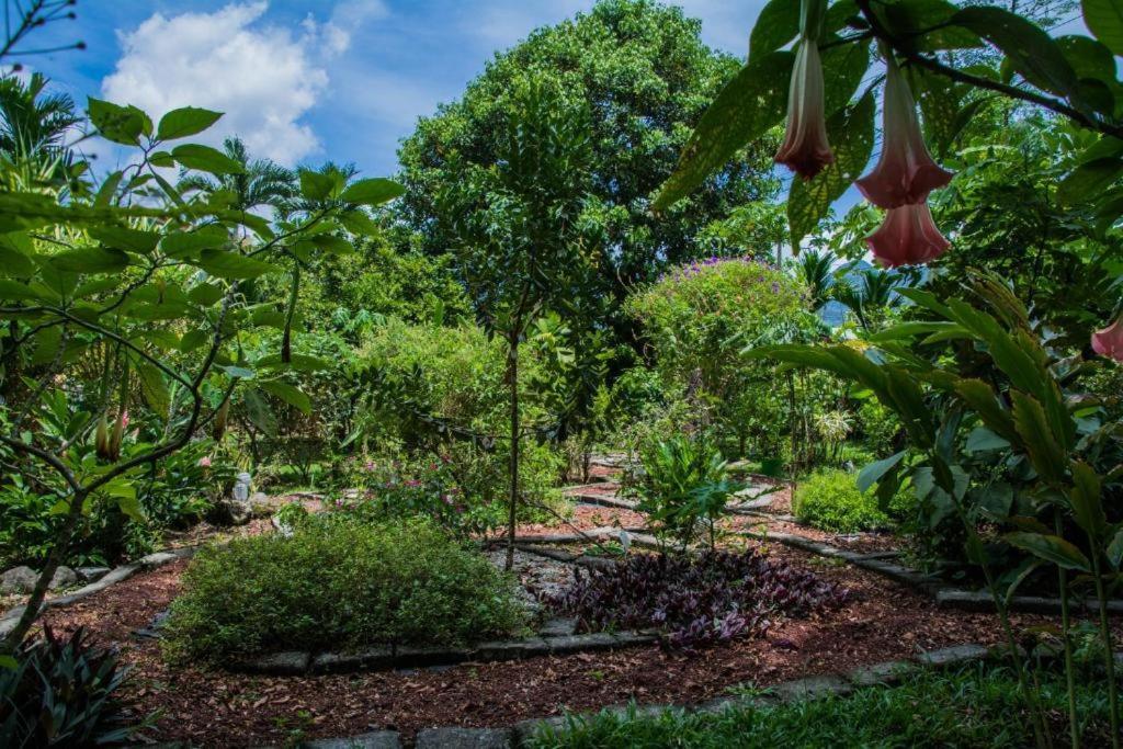 Hotel Vista Del Cerro La Fortuna Екстериор снимка