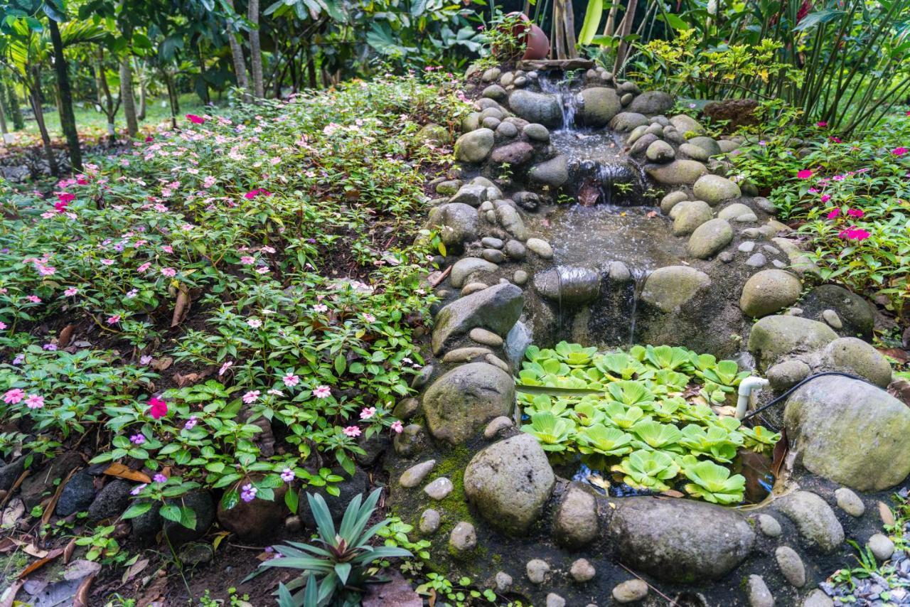 Hotel Vista Del Cerro La Fortuna Екстериор снимка