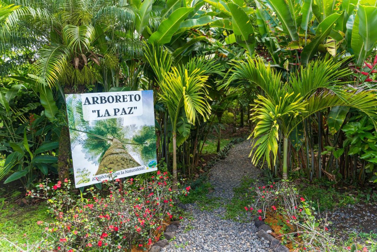 Hotel Vista Del Cerro La Fortuna Екстериор снимка